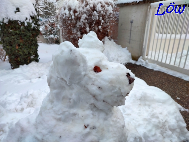 21.1.2023 - Gestatten, Dougan der Schneehund